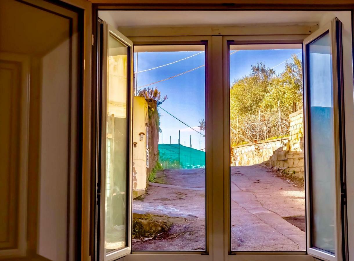 Casa Isetta & La Casetta Degli Dei Massa Lubrense Eksteriør bilde